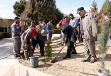 گزارش تصویری از آئیین درختکاری و تقدیر ازهمکاران فضای سبز دانشگاه
